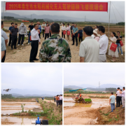<b>正在板棍乡上蓬种植</b>